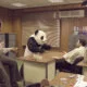 campanha queijos panda