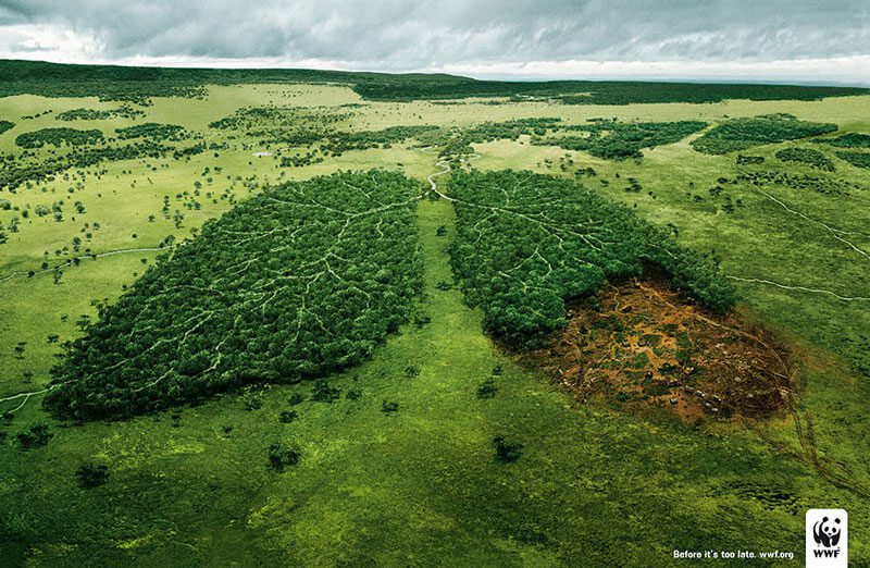 anúncio dia do ambiente