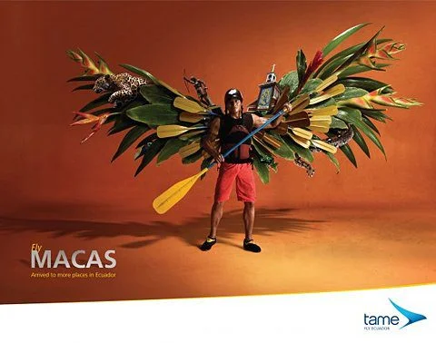 36aff4e857c6a2f12f63e7f9d8e1efeb3d8db94a m