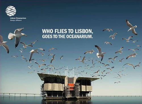 Campanha Oceanário