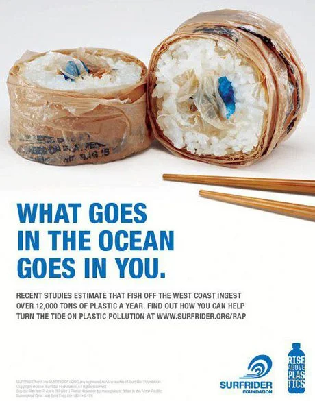 surfrider2Bfoundation