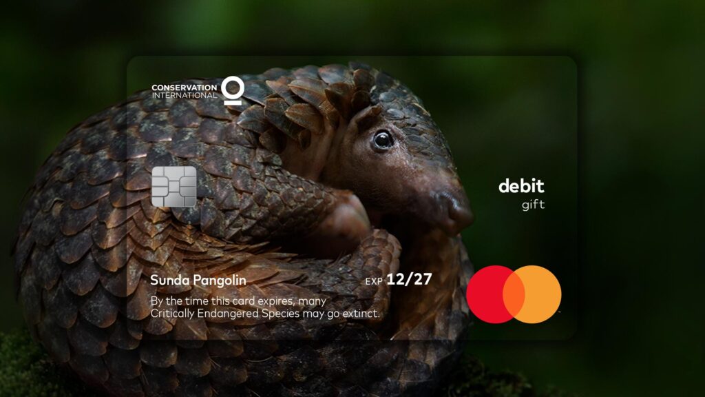 cartão pangolin mastercard animais em extinção