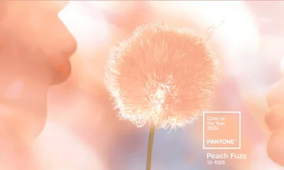 Cor Pantone do ano 2024 - Peach Fuzz