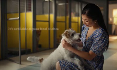 mulher e cachorro da Campanha Pedigree Rebound Dogs