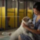 mulher e cachorro da Campanha Pedigree Rebound Dogs