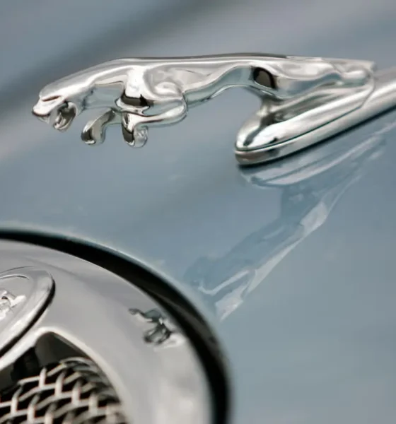 Nova identidade Jaguar