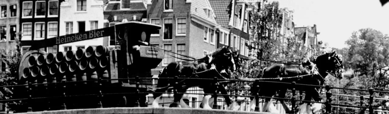 cavalos puxando carroça com cerveja heineken