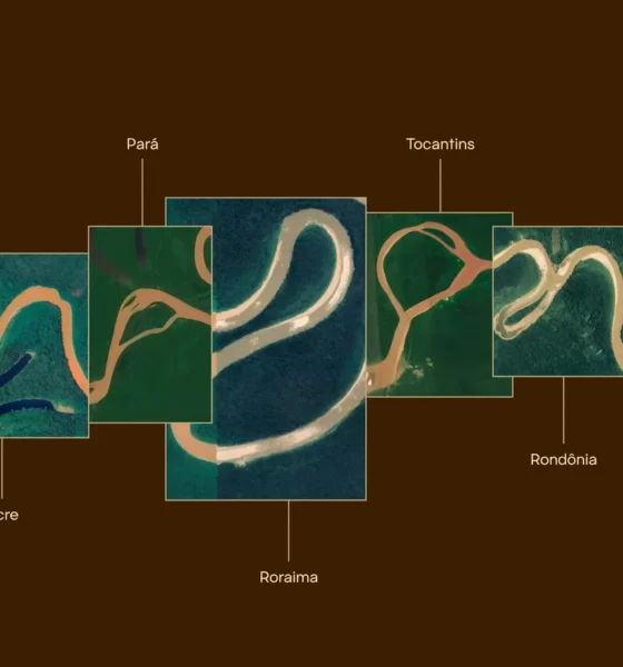 Amazonia Projeto 08 10e08cdbab